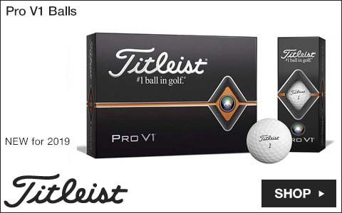 Titleist 2019 Pro V1 Golf Balls